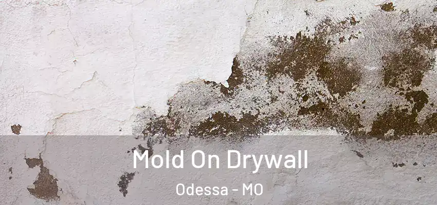  Mold On Drywall Odessa - MO