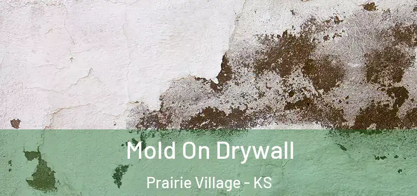 Mold On Drywall Prairie Village - KS