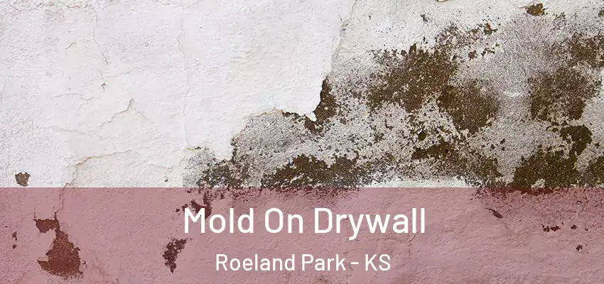 Mold On Drywall Roeland Park - KS