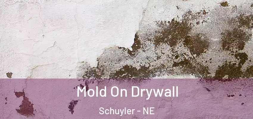  Mold On Drywall Schuyler - NE