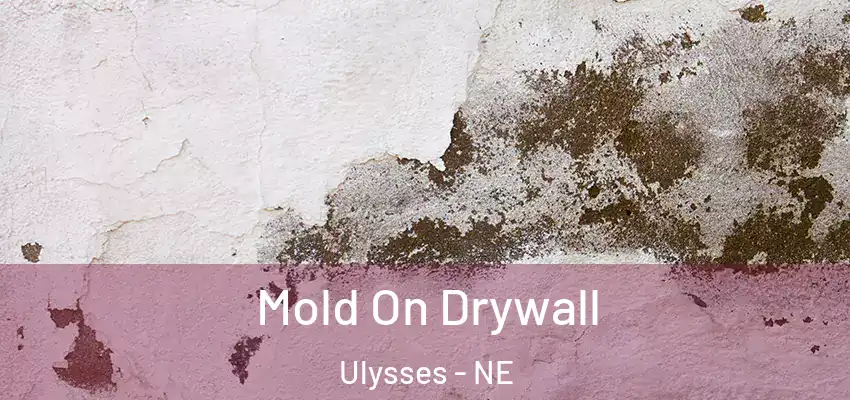  Mold On Drywall Ulysses - NE