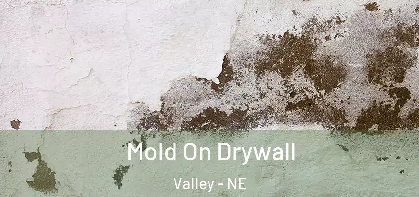  Mold On Drywall Valley - NE