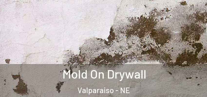 Mold On Drywall Valparaiso - NE