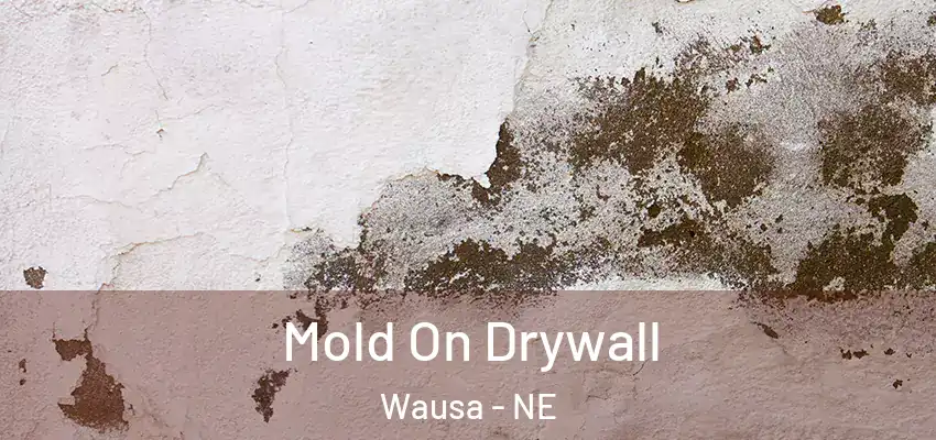  Mold On Drywall Wausa - NE