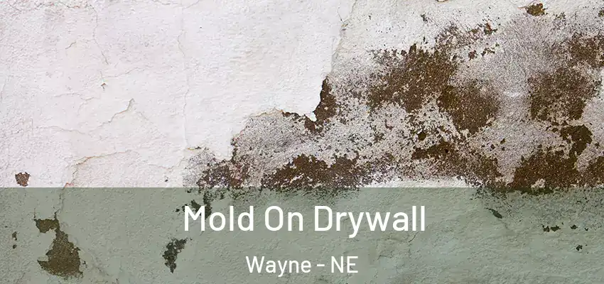 Mold On Drywall Wayne - NE