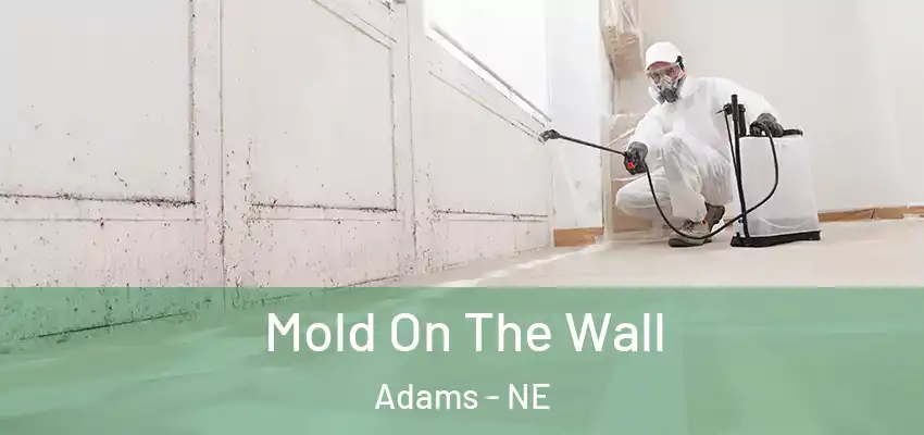  Mold On The Wall Adams - NE