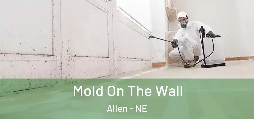  Mold On The Wall Allen - NE