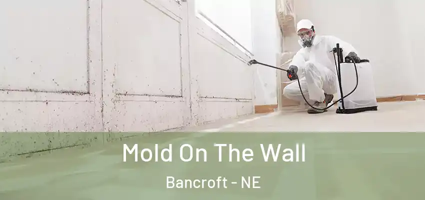  Mold On The Wall Bancroft - NE