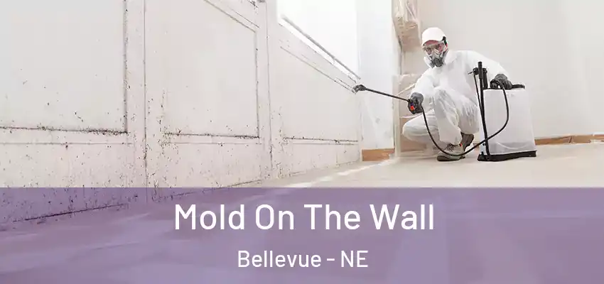  Mold On The Wall Bellevue - NE