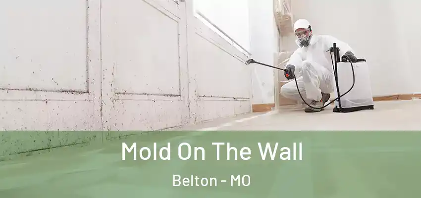  Mold On The Wall Belton - MO