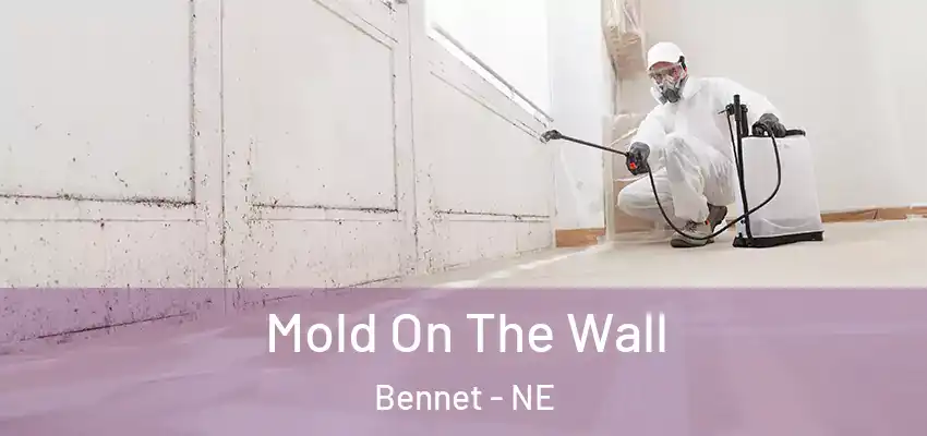  Mold On The Wall Bennet - NE