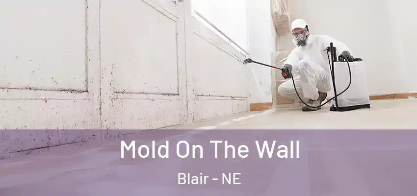  Mold On The Wall Blair - NE