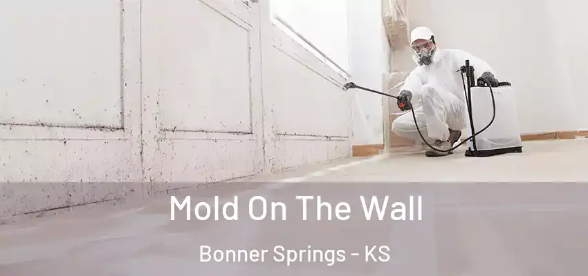  Mold On The Wall Bonner Springs - KS
