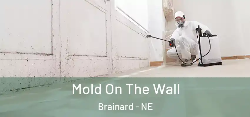  Mold On The Wall Brainard - NE