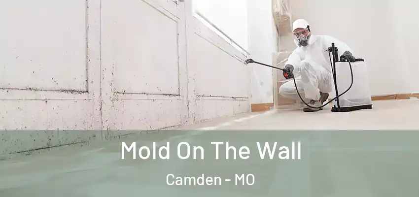  Mold On The Wall Camden - MO