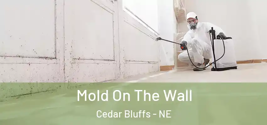  Mold On The Wall Cedar Bluffs - NE