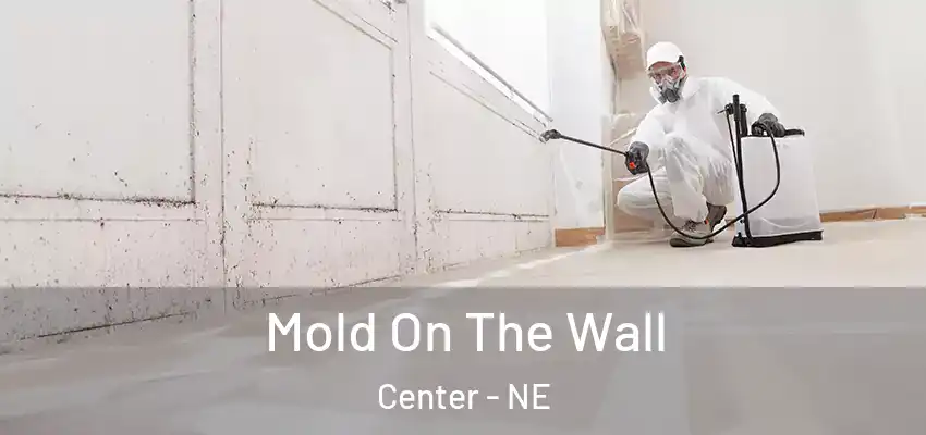  Mold On The Wall Center - NE
