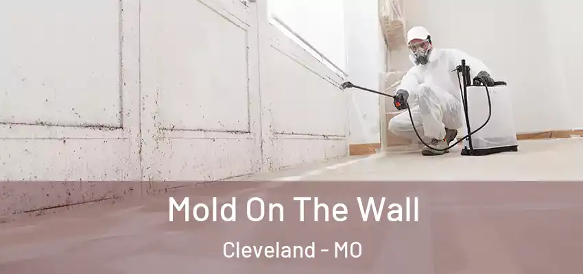  Mold On The Wall Cleveland - MO