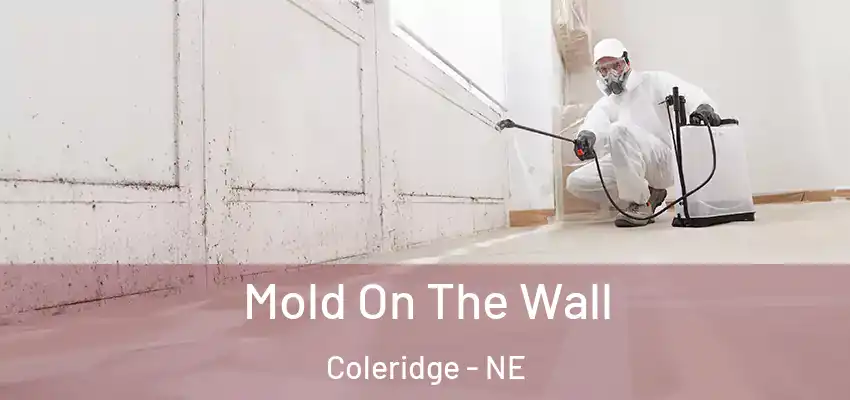  Mold On The Wall Coleridge - NE