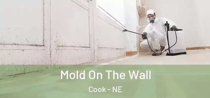  Mold On The Wall Cook - NE