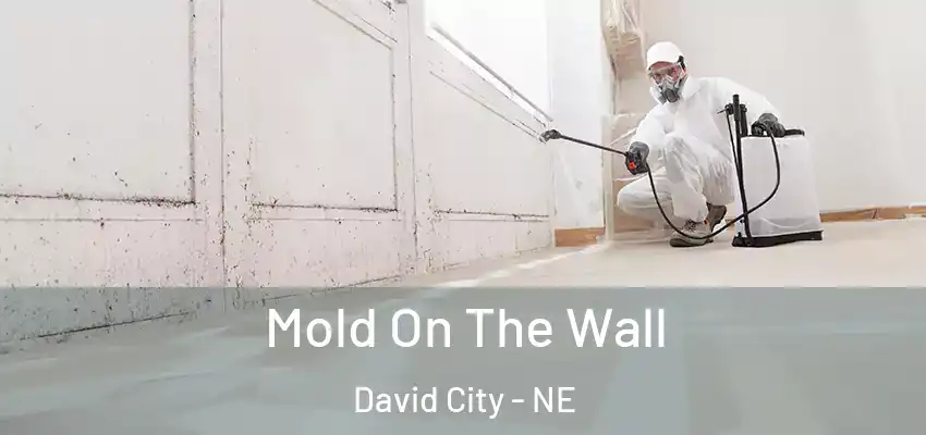  Mold On The Wall David City - NE