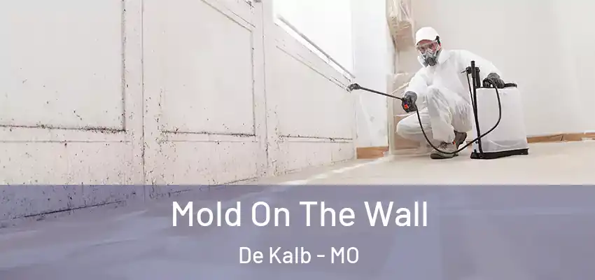  Mold On The Wall De Kalb - MO