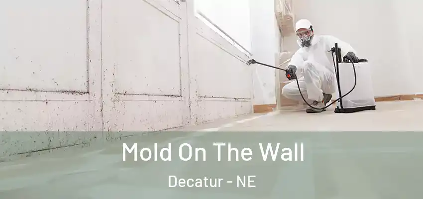  Mold On The Wall Decatur - NE