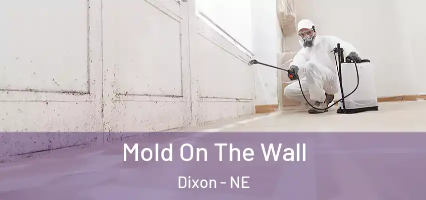  Mold On The Wall Dixon - NE