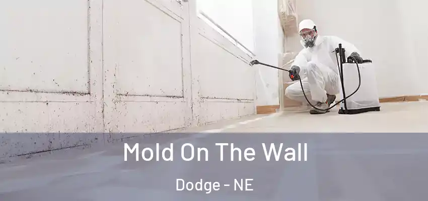  Mold On The Wall Dodge - NE