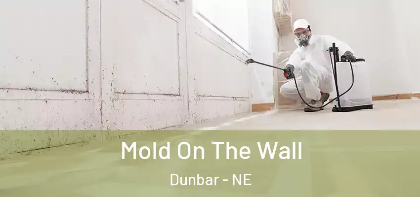  Mold On The Wall Dunbar - NE