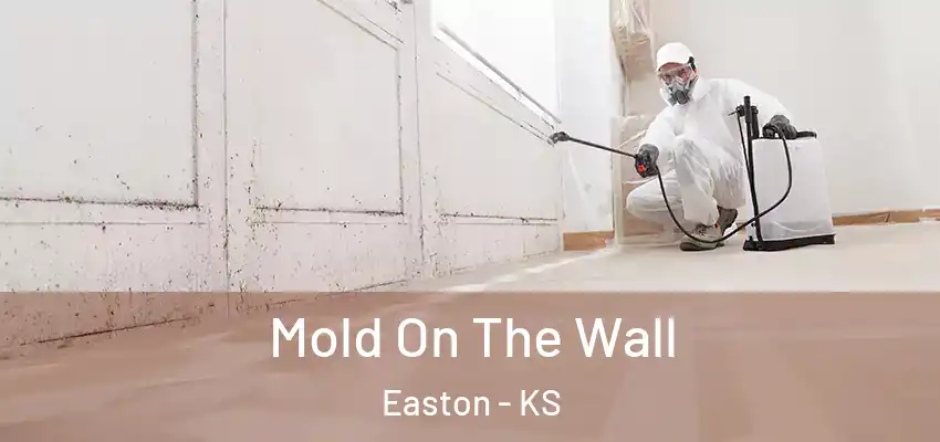  Mold On The Wall Easton - KS