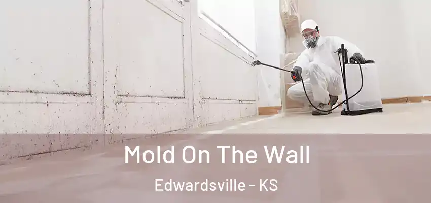  Mold On The Wall Edwardsville - KS