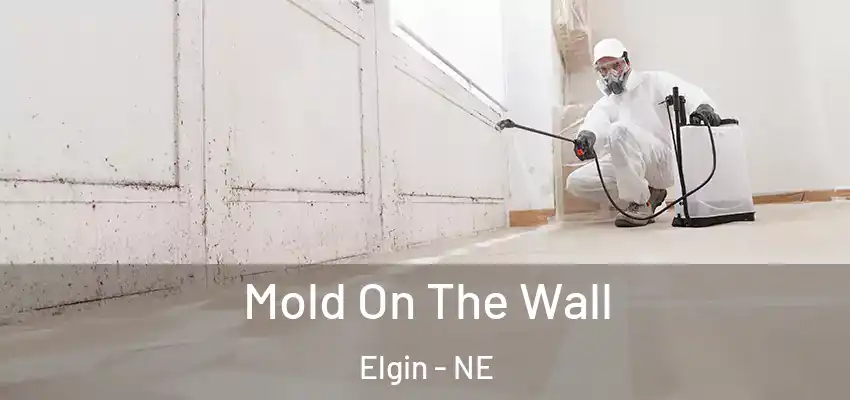  Mold On The Wall Elgin - NE