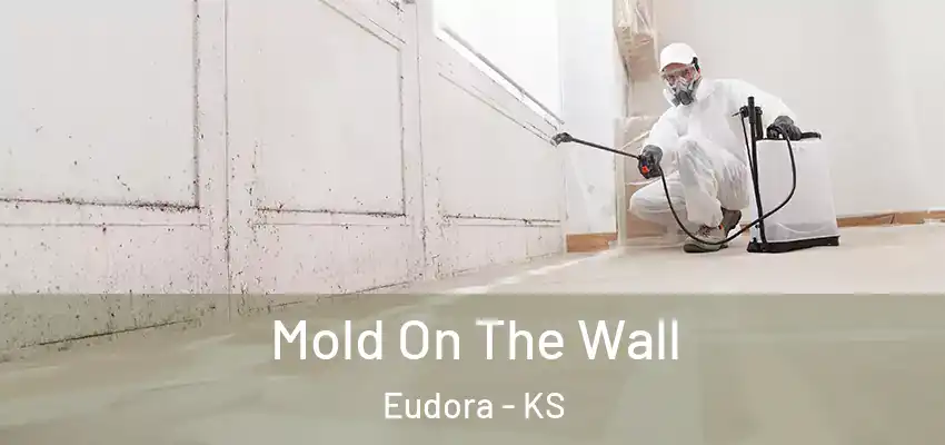  Mold On The Wall Eudora - KS