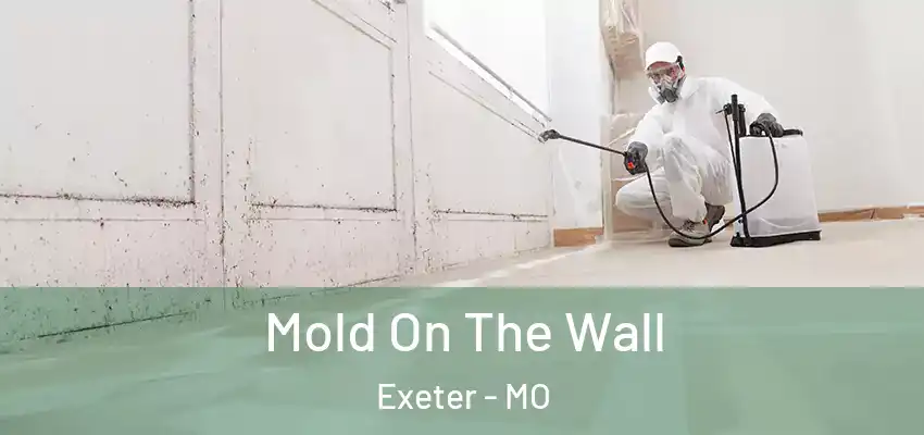Mold On The Wall Exeter - MO