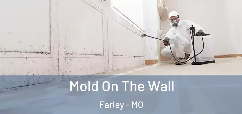 Mold On The Wall Farley - MO