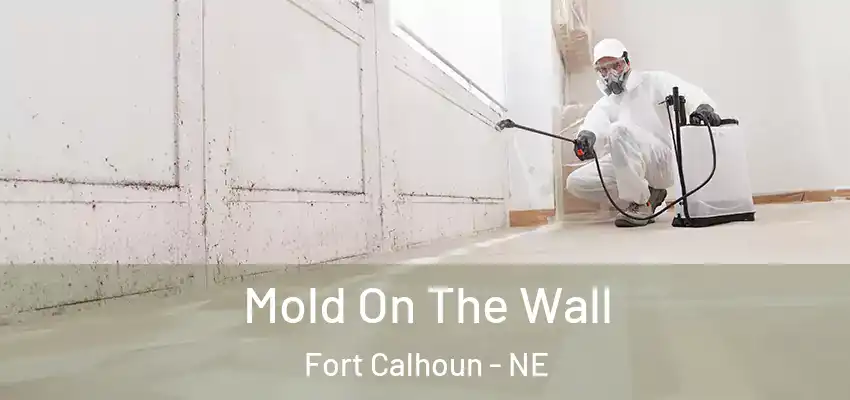  Mold On The Wall Fort Calhoun - NE