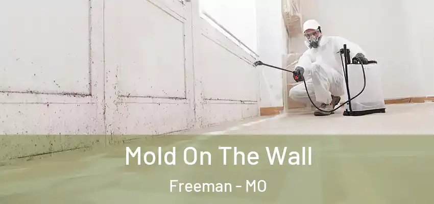  Mold On The Wall Freeman - MO