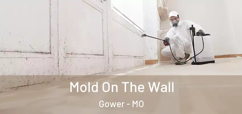 Mold On The Wall Gower - MO