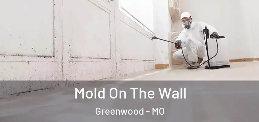  Mold On The Wall Greenwood - MO