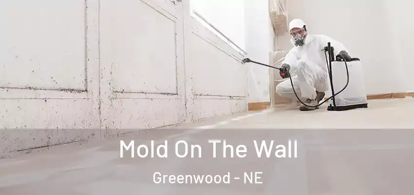  Mold On The Wall Greenwood - NE