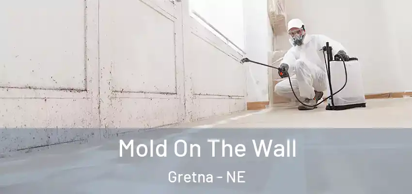  Mold On The Wall Gretna - NE