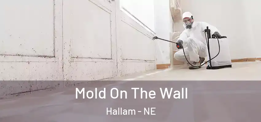  Mold On The Wall Hallam - NE