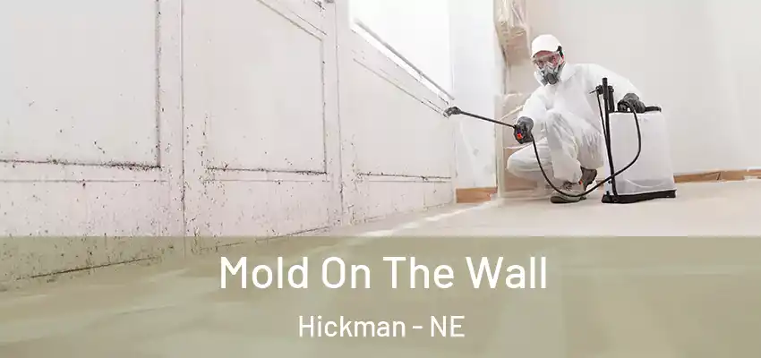  Mold On The Wall Hickman - NE