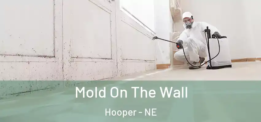  Mold On The Wall Hooper - NE