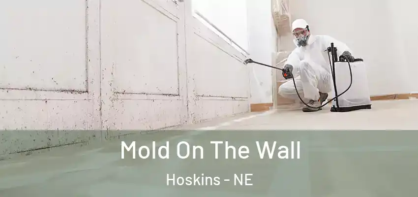  Mold On The Wall Hoskins - NE