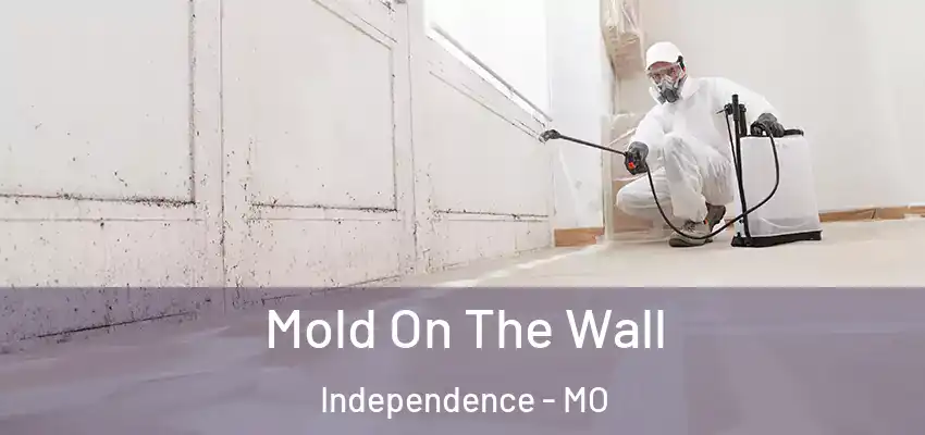Mold On The Wall Independence - MO