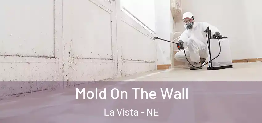  Mold On The Wall La Vista - NE