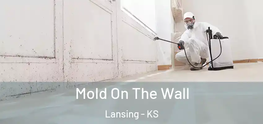  Mold On The Wall Lansing - KS