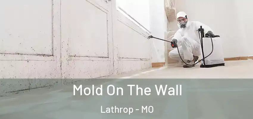  Mold On The Wall Lathrop - MO
